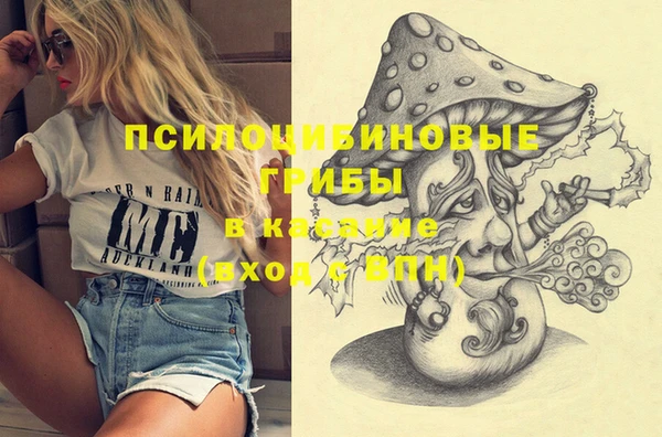 молекула духа Навашино