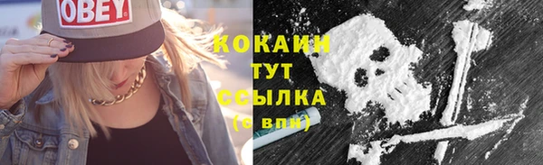 прущий лед Абаза
