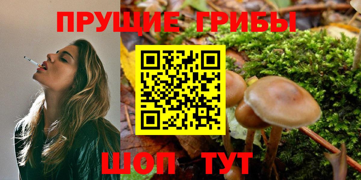 Галлюциногенные грибы MAGIC MUSHROOMS  Вход с VPN  где можно купить наркотик  Архангельск 